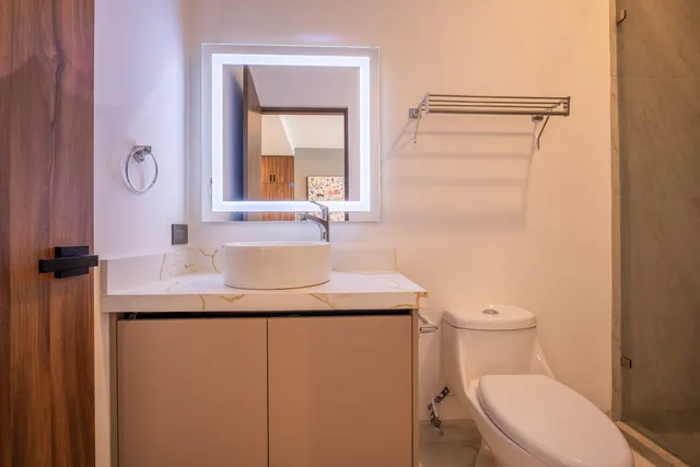 Baño con puerta de madera, tocador y sanitario